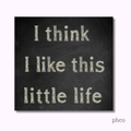 This Little Life Magnet