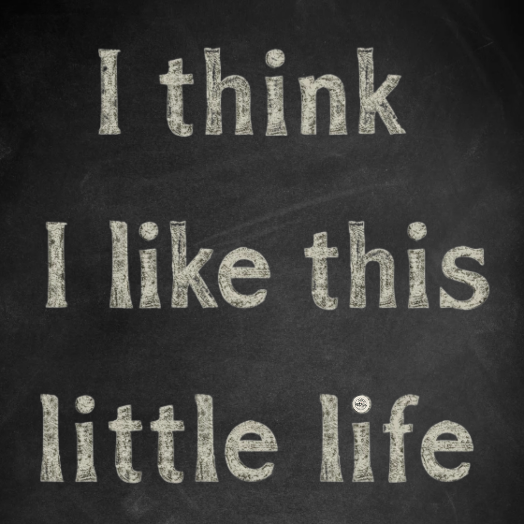 This Little Life Magnet