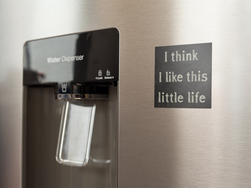 This Little Life Magnet